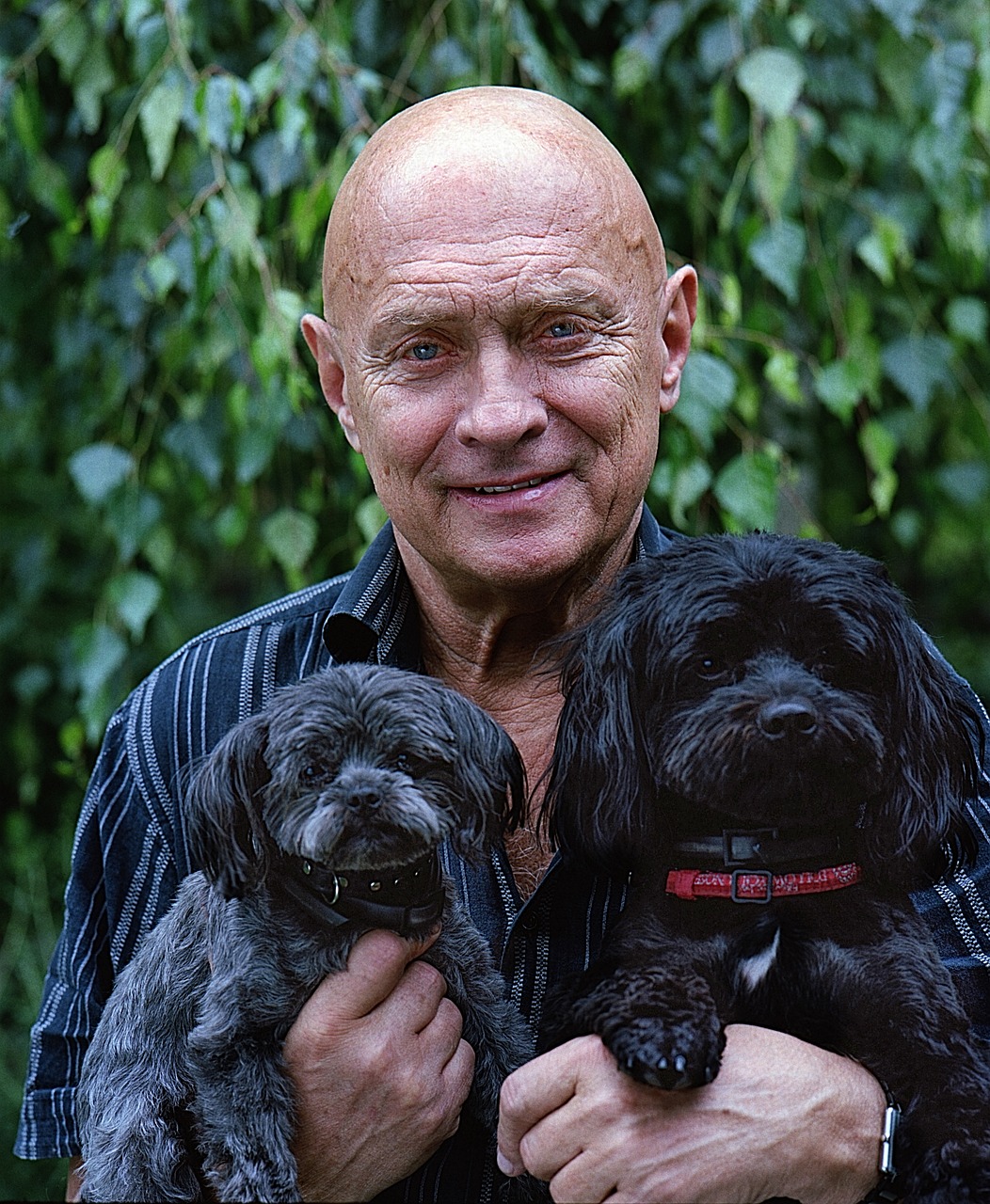 elder man, dogs, puppy-1281284.jpg